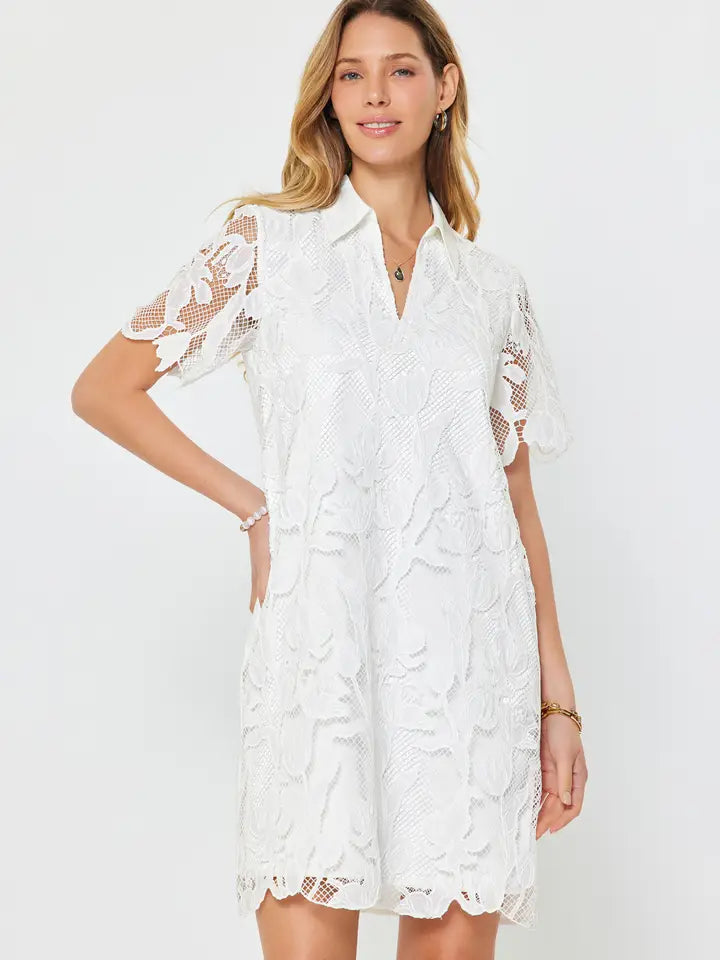 Striped Shift Dress with Embroidered Sleeves  V-Neck Women's Dress   Lansky Bros.