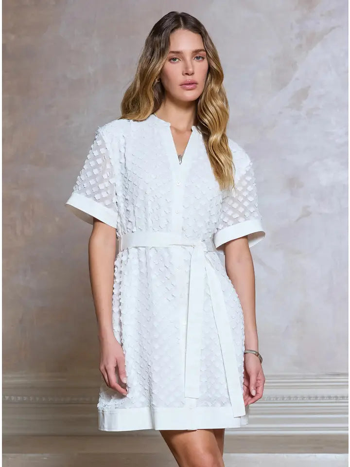 Striped Shift Dress with Embroidered Sleeves – V-Neck Women's Dress –  Lansky Bros