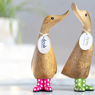 Spotty Boots Ducklings
