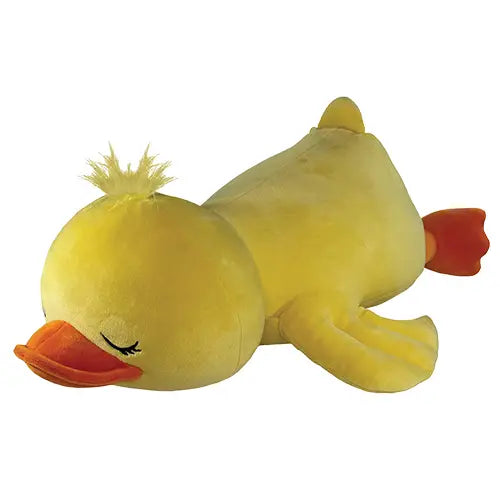 Snoozing Duck