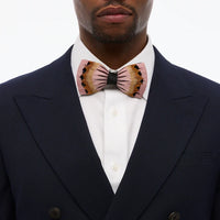James Bow Tie