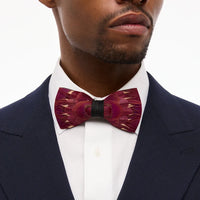 Michael Bow Tie