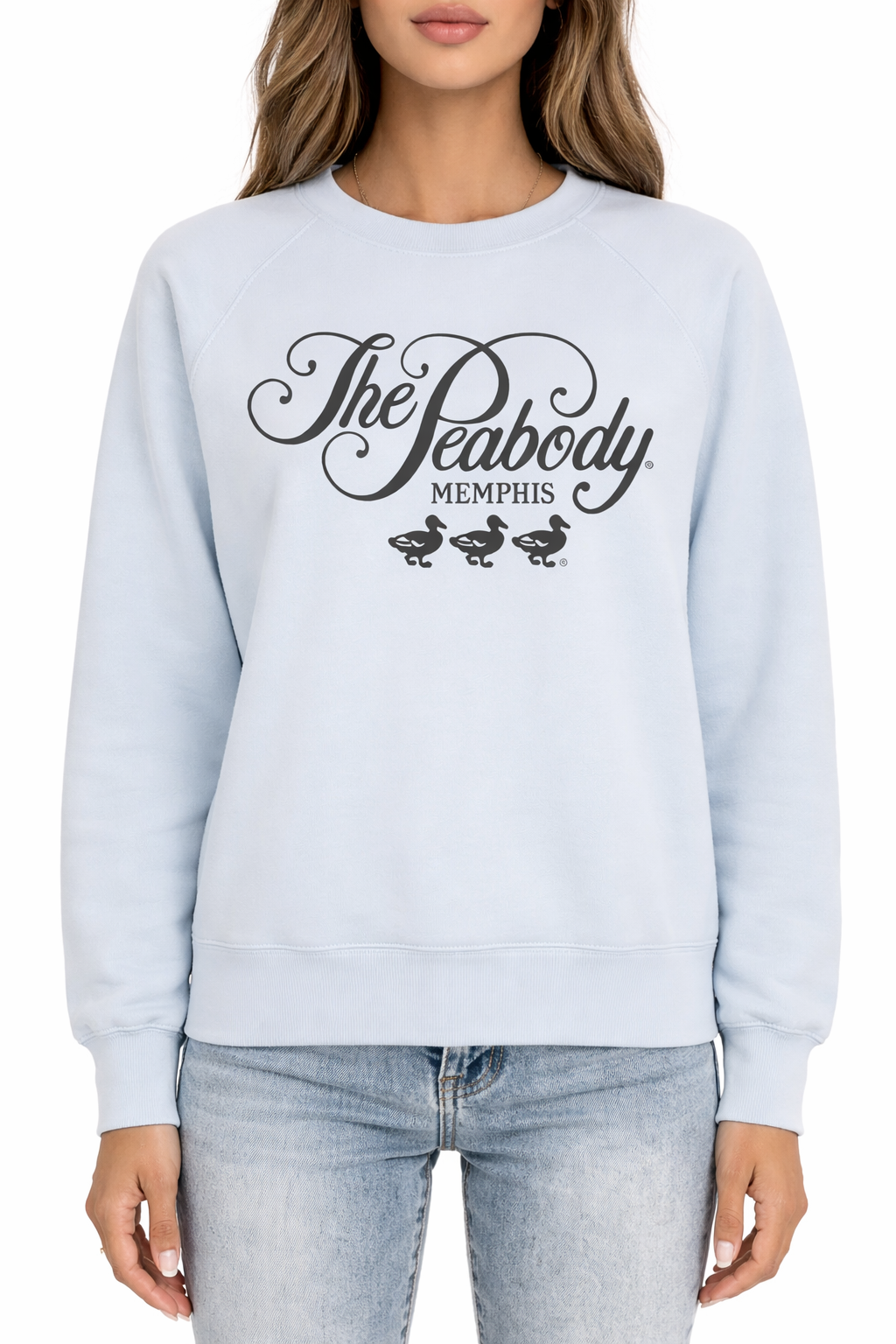 Peabody Vintage Fleece Crewneck - Artic Blue