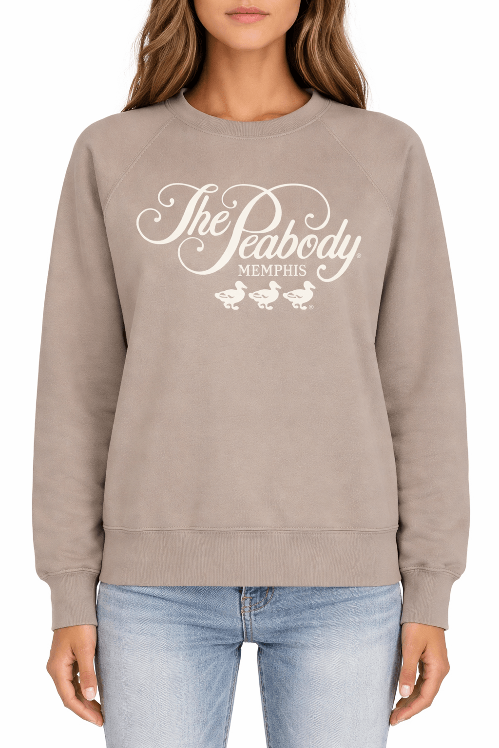 Peabody Vintage Fleece Crewneck - Atmosphere
