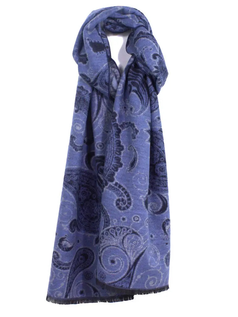 Modern Paisley Brushed Silk Scarf Chelsey