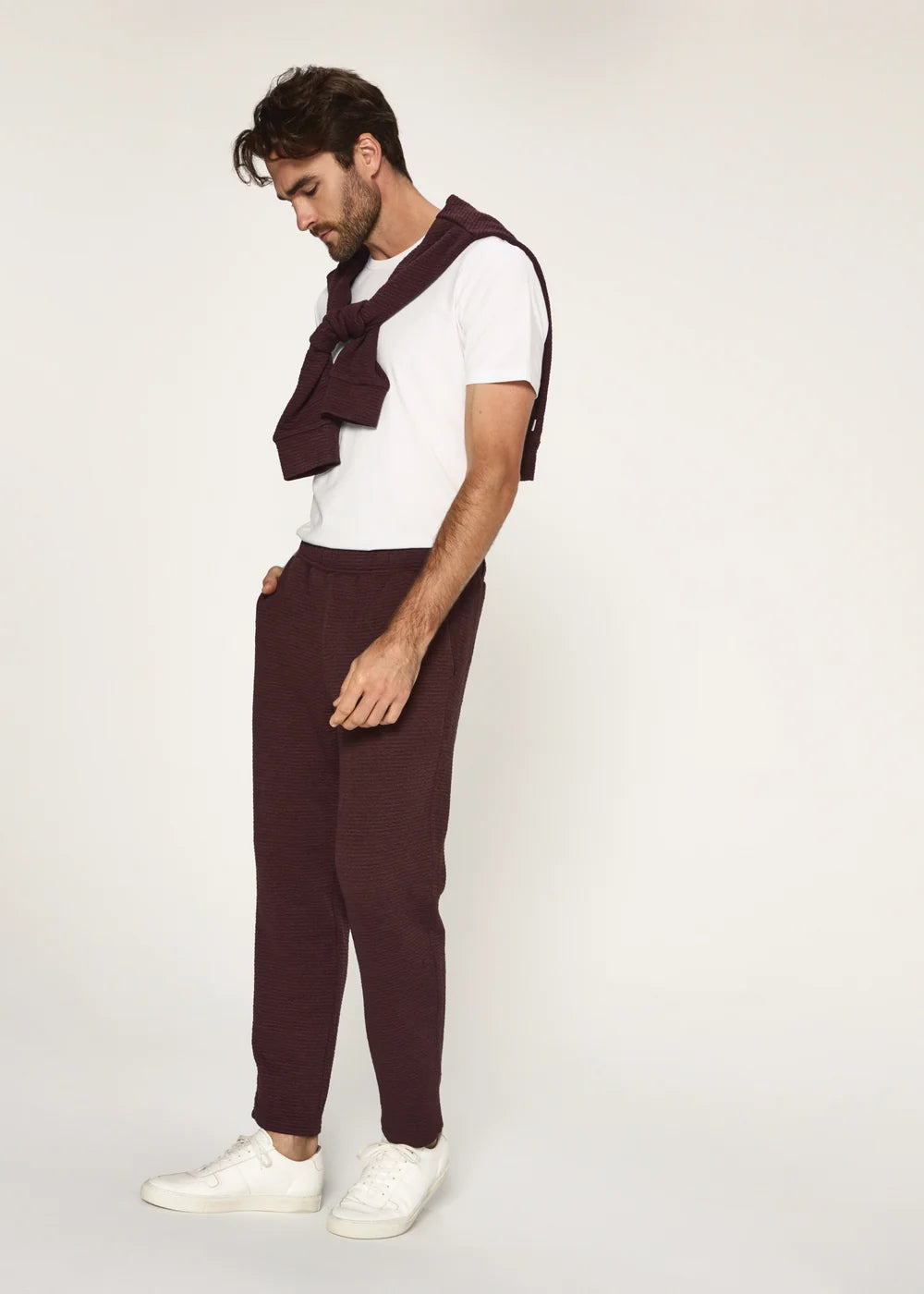 Elevate Jogger - Bordeaux