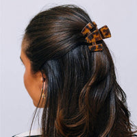Claw Clip