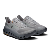 Men's Cloudhorizon 2 - Alloy | Rock